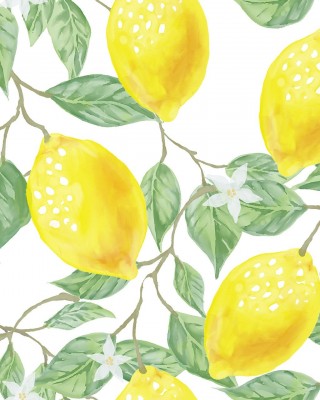 Fruit lemon